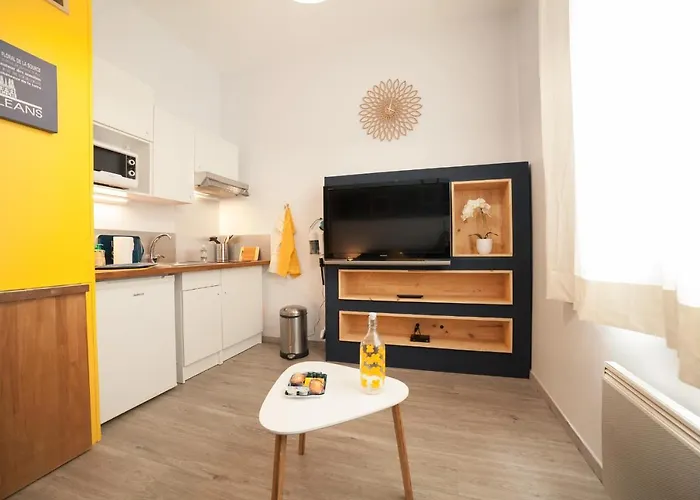 Prestigeloc - Studio Calme, 1Er Emplacement - Place Du Martroi, Ideal Pro